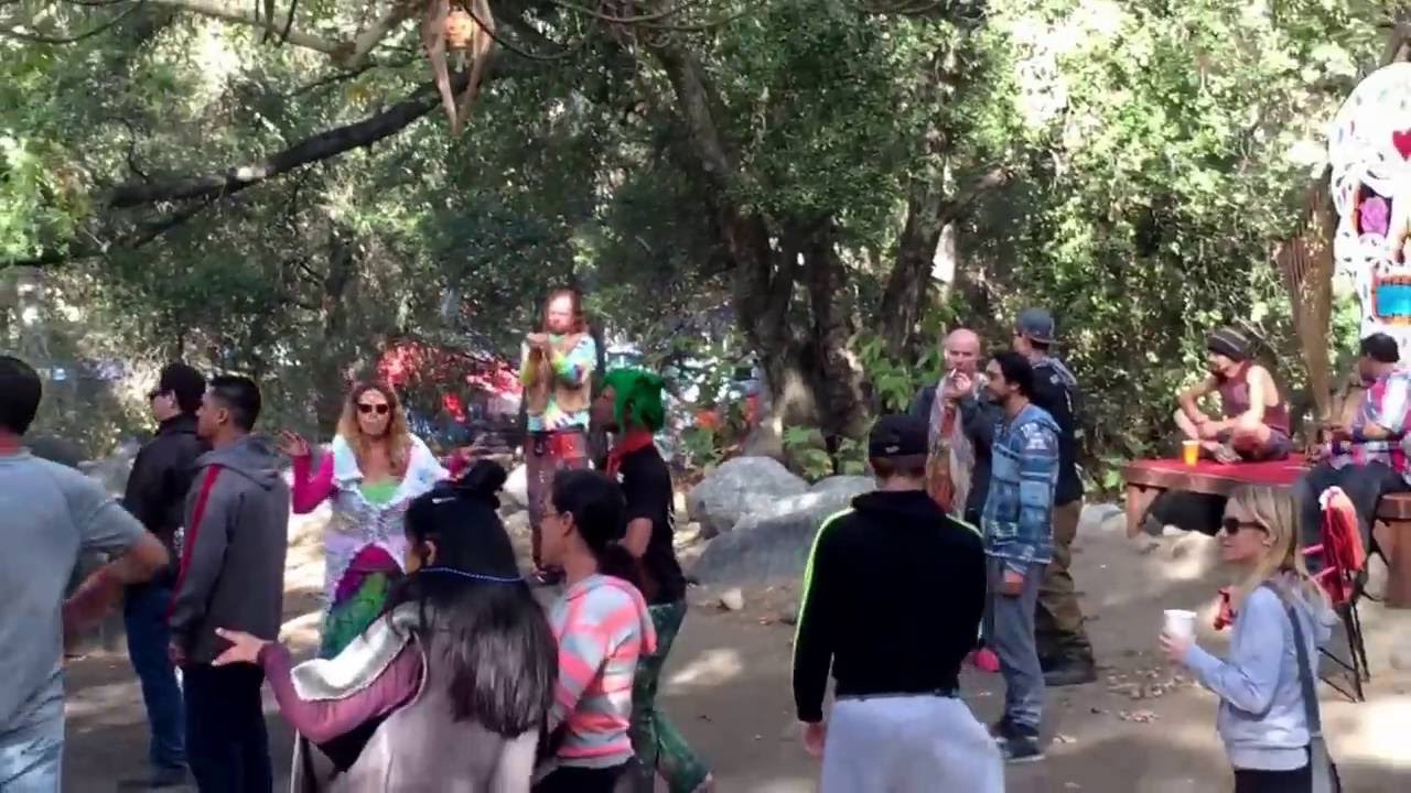 Psytribe - Psychedelic Freakshow 2016 - Saturday Day - Scenator