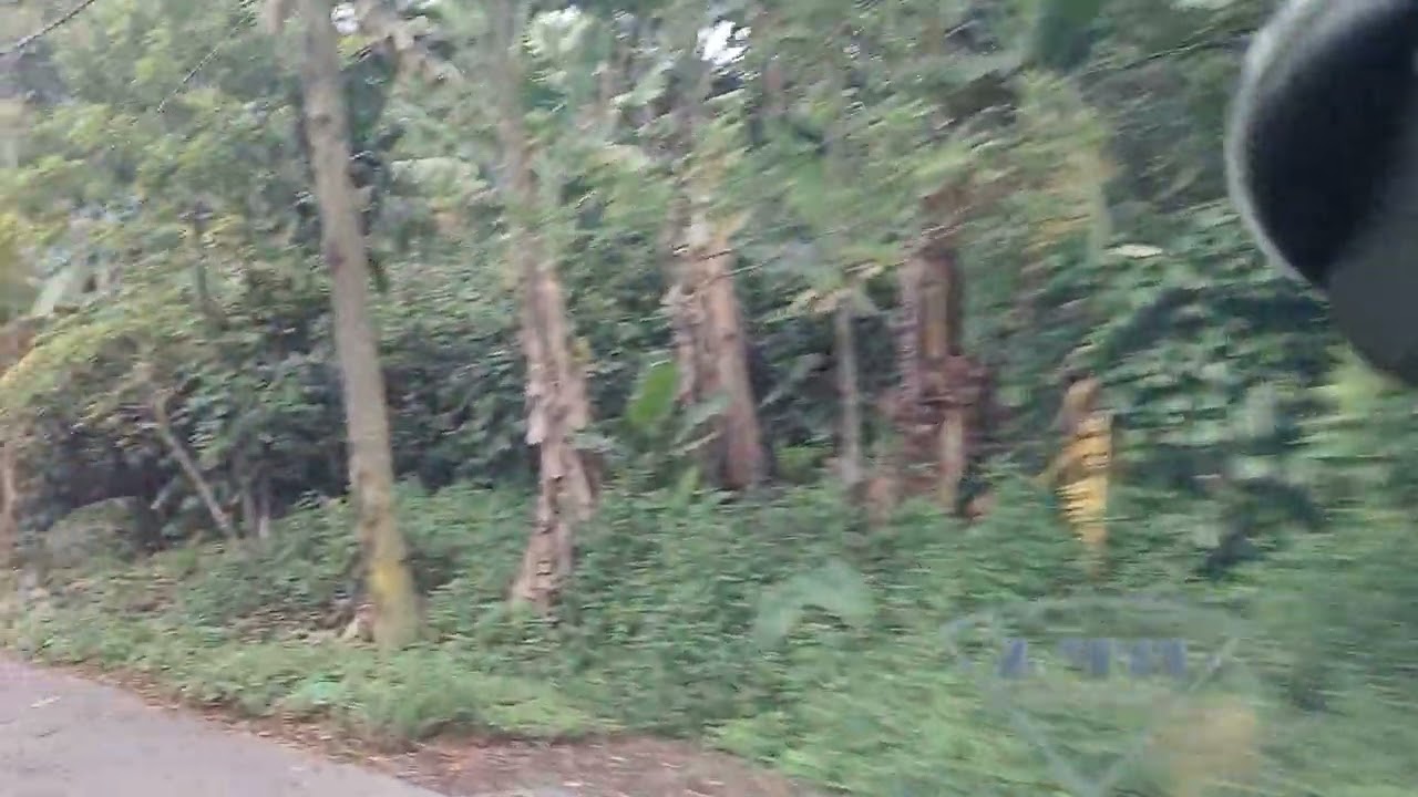 Turun gunung dari peabang menuju boho sianjur mulamula.