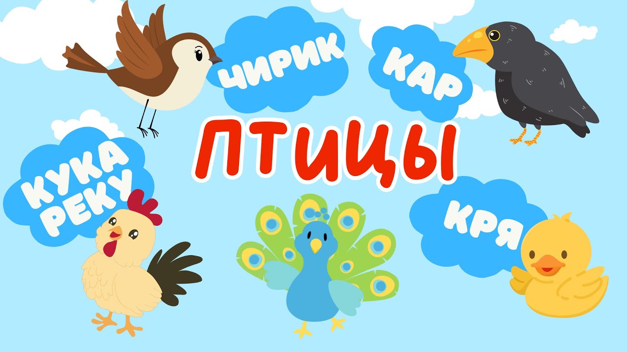 Птицы и их Голоса | Учим слова на русском | Слова для детей | Первые слова