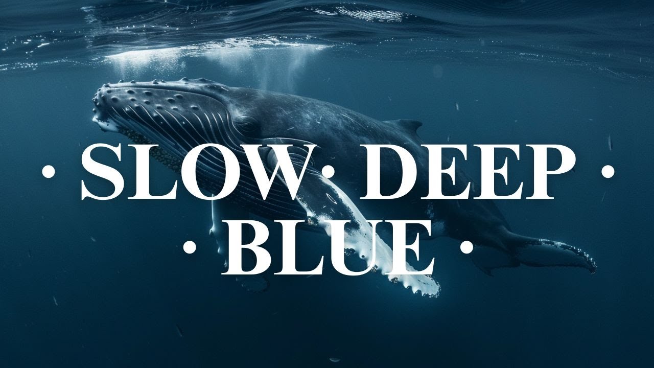 Humpback Whale 🐋 Deep Ocean Relaxation 🌊 Calming Underwater Sounds