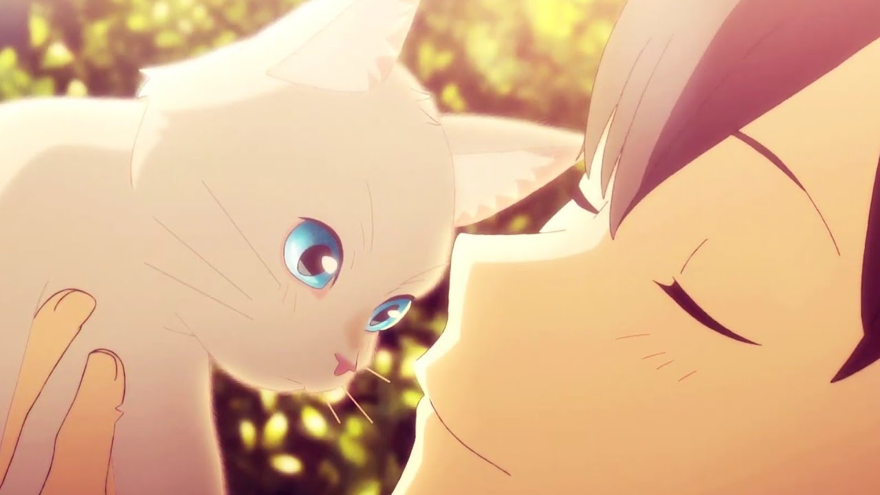 Nakitai Watashi wa Neko wo Kaburu「AMV」- I Wouldn't Mind