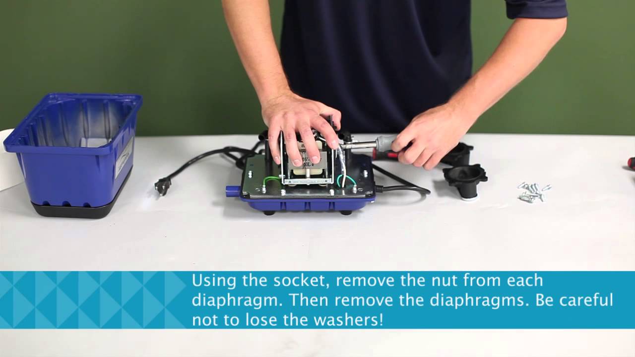 Pentair AES: How to replace diaphragms on your Sweetwater air pump