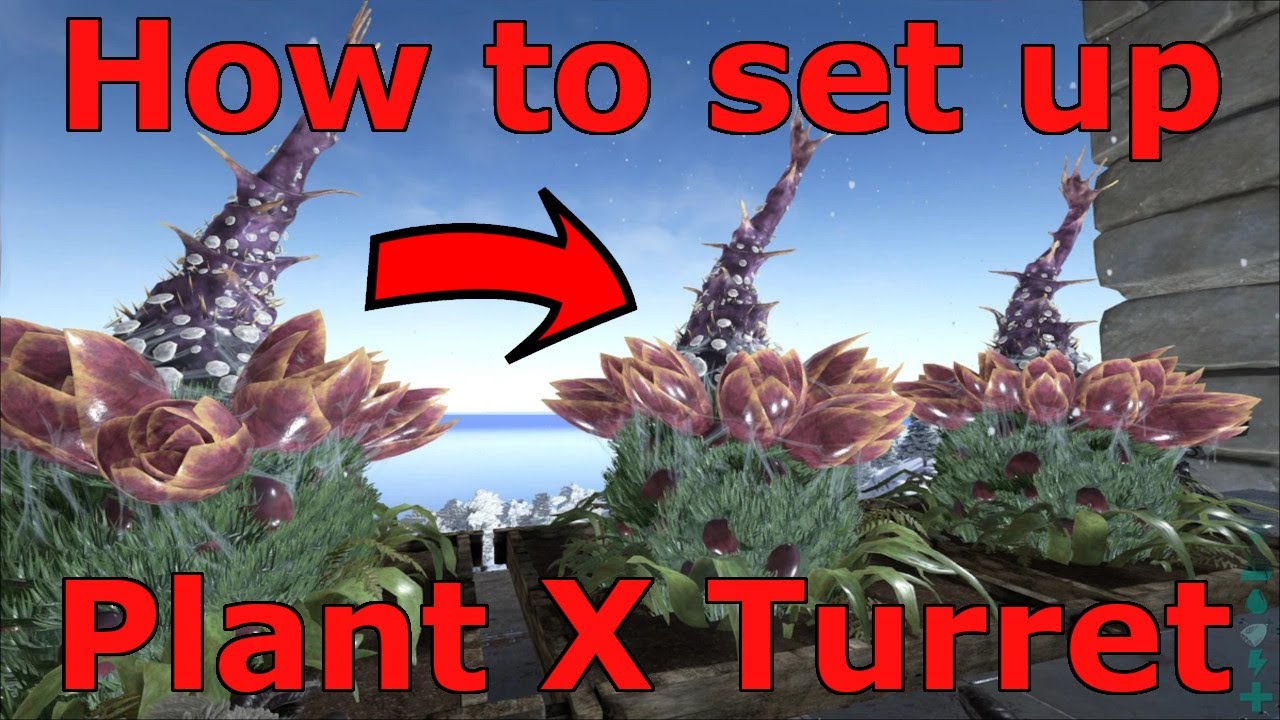 Ark Survival Ascended Plant X Series, Ark How to set up Plant X Turrets, Ark Plant X Guide