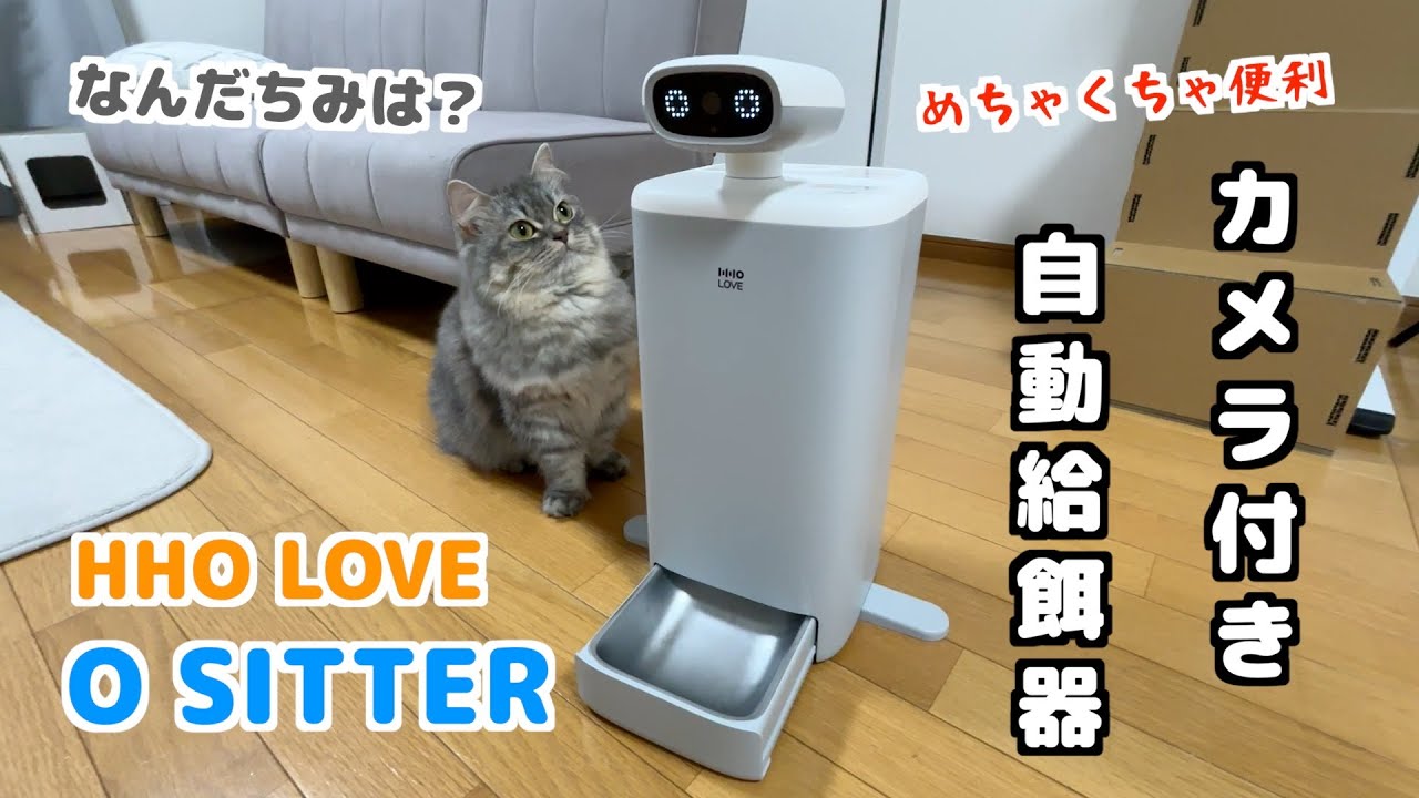いま話題⁉︎我が家にカメラ付き自動給餌器がやって来た！帰宅前の激カワ隠し撮りシーンも必見です！