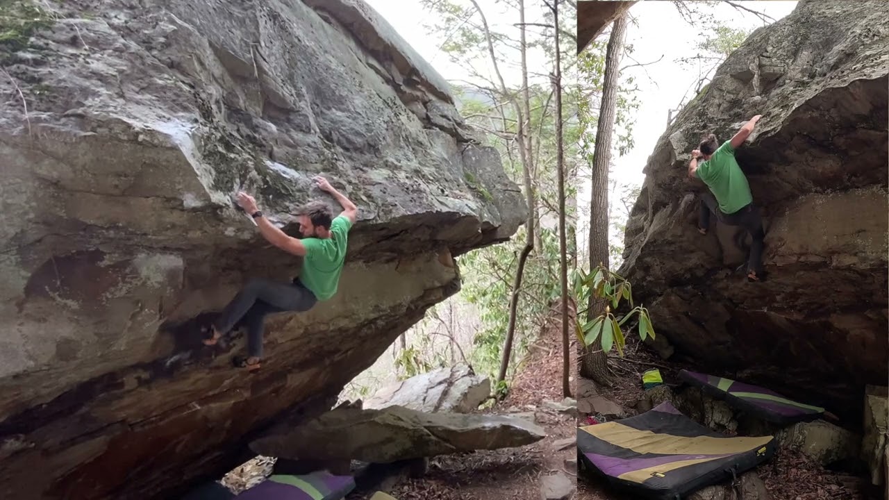 Coconut Pizza Party V7 - NRG