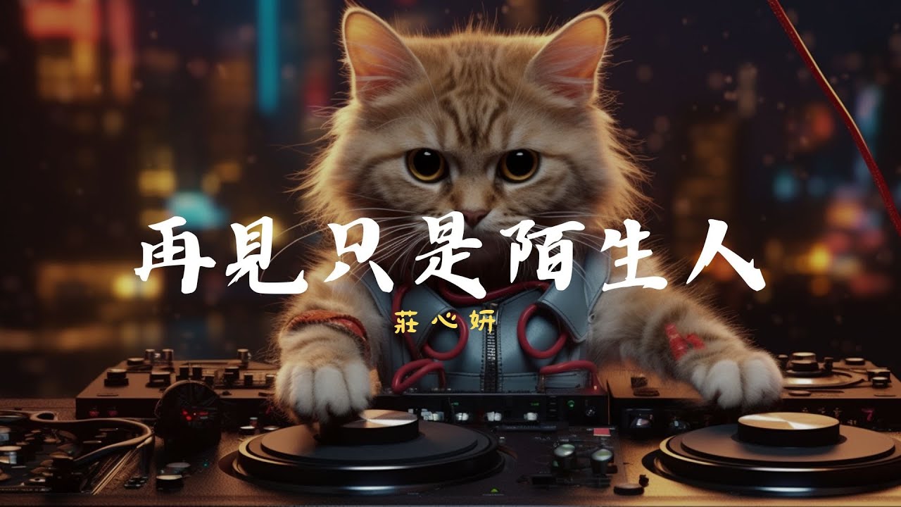 莊心妍 - 再見只是陌生人. 隔壁老樊 - 我曾, 毛不易 - 不染🎶 2024年最具創意的中文TikTok熱曲：歌詞帶你進入奇幻世界！【動態歌詞Lyrics】
