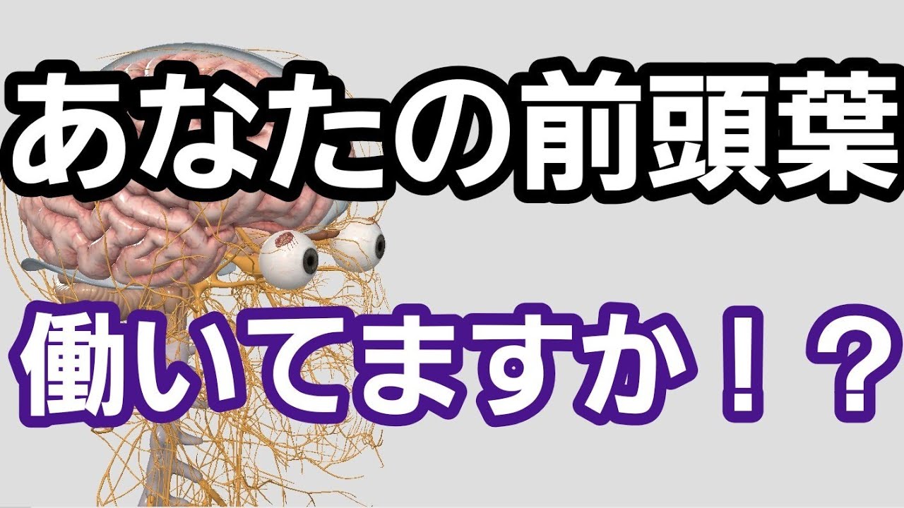 脳の働きチェック！！【前頭葉】