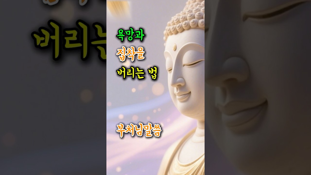 욕망과 집착을 버리는 법 | 부처님말씀 | 불교명언 | 법정스님 | 법문 | 좋은말씀 | 석가모니 가르침