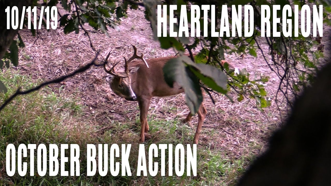 Heartland | October Buck Action, Loud Snort Wheeze