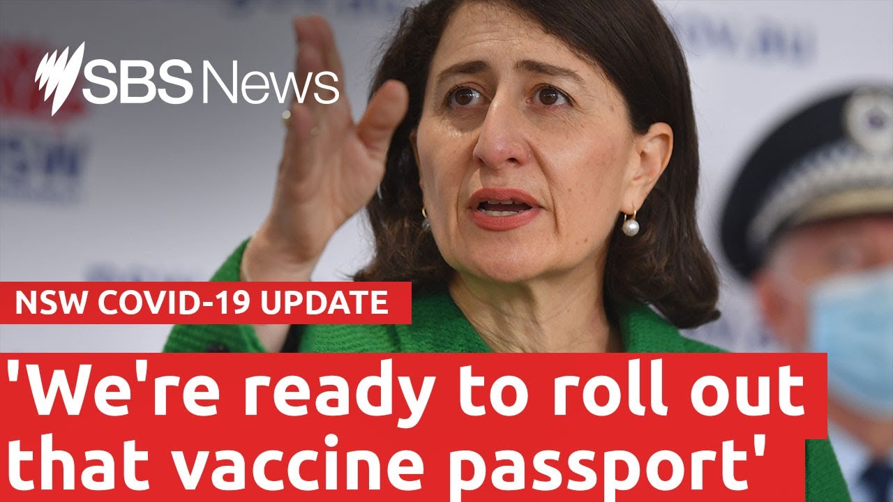 Watch live: NSW COVID-19 update | SBS News