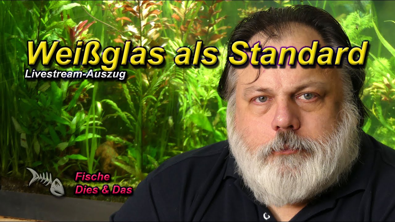 Wird Wei&szlig;glas bei Aquarien zum Standard?