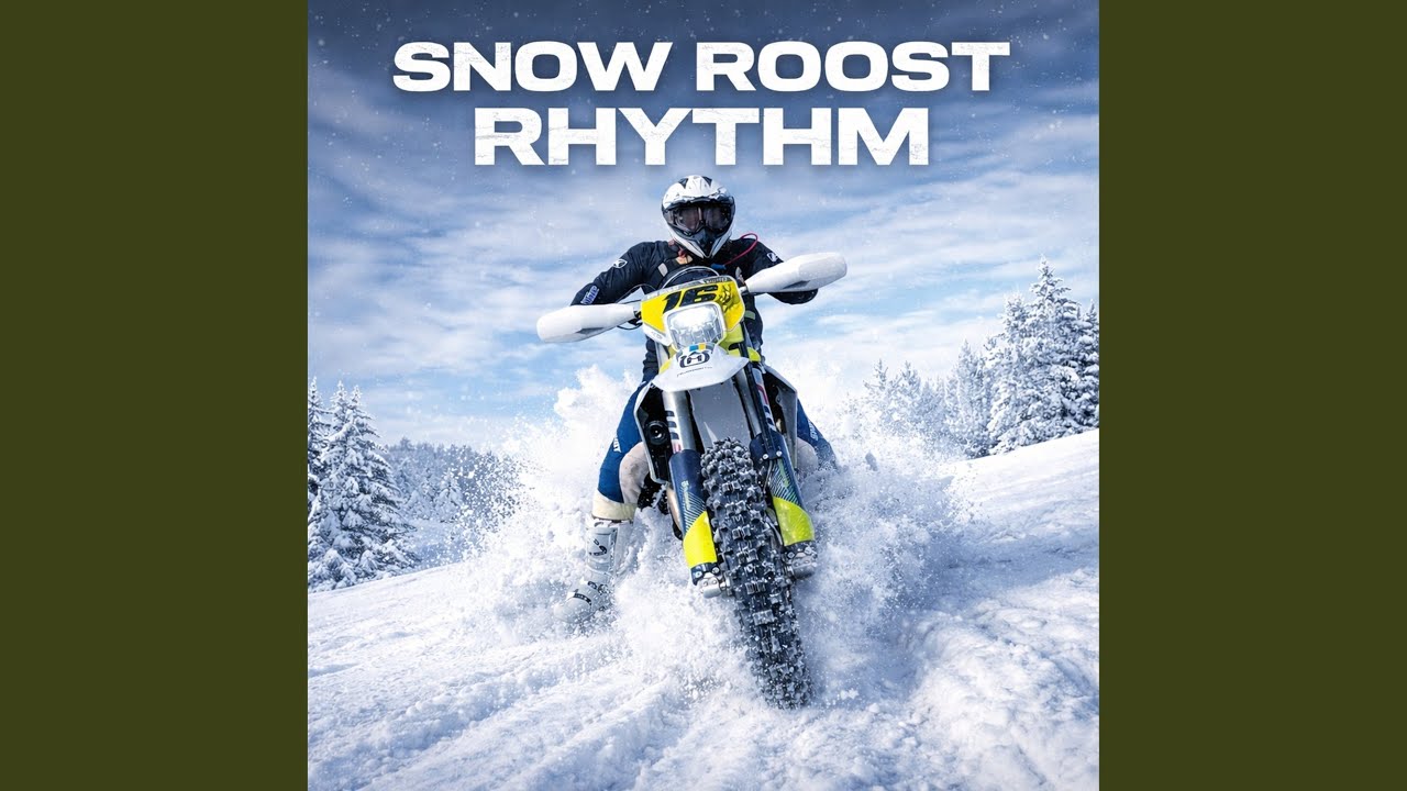 Snow Roost Rhythm