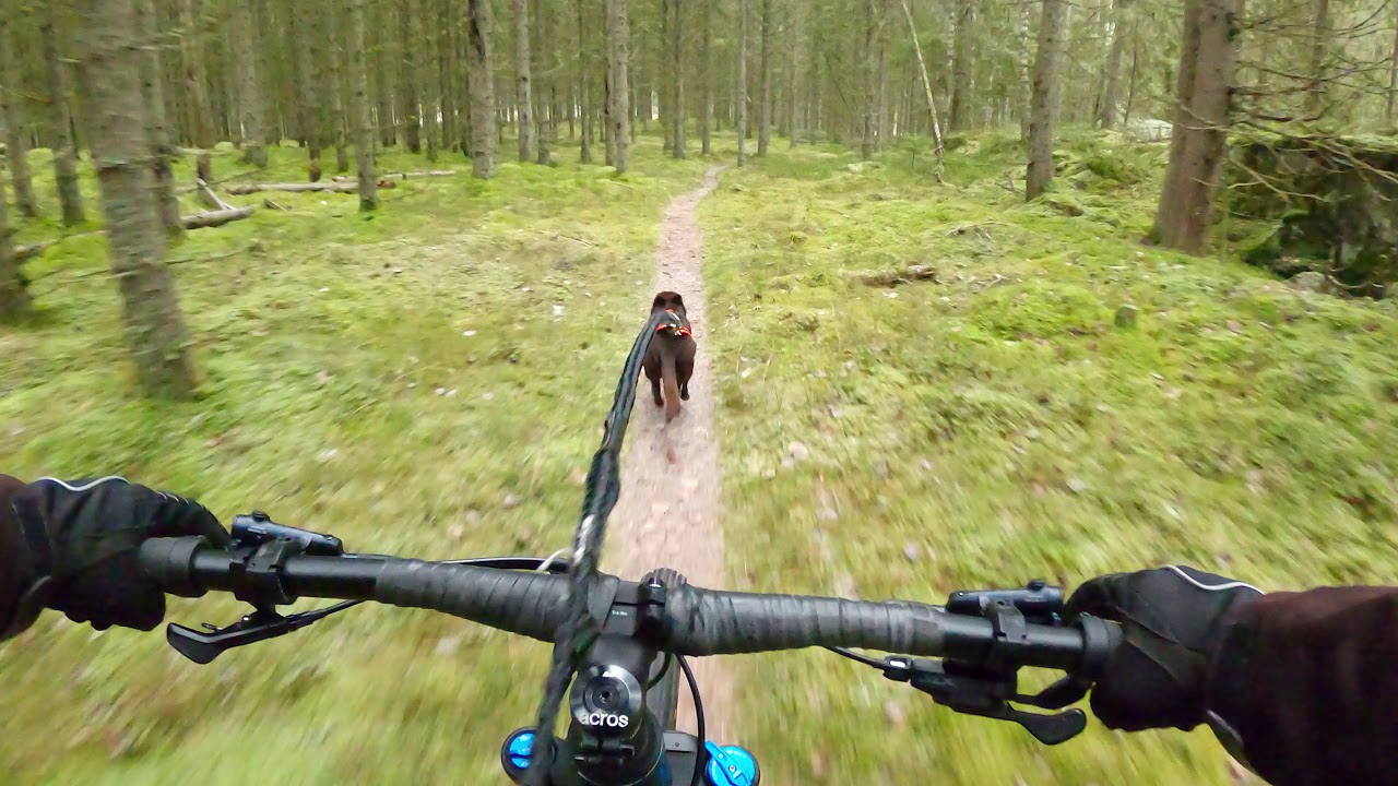 KiwiCross 201226