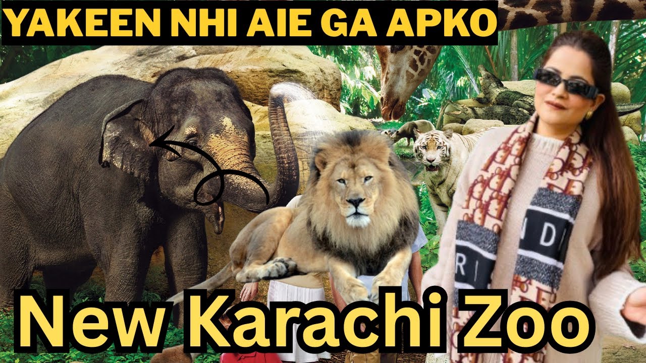 Karachi Zoo Ke Asal Haqiqat ? video mein Kuch Or Real Mein Kuch @uroojismail 