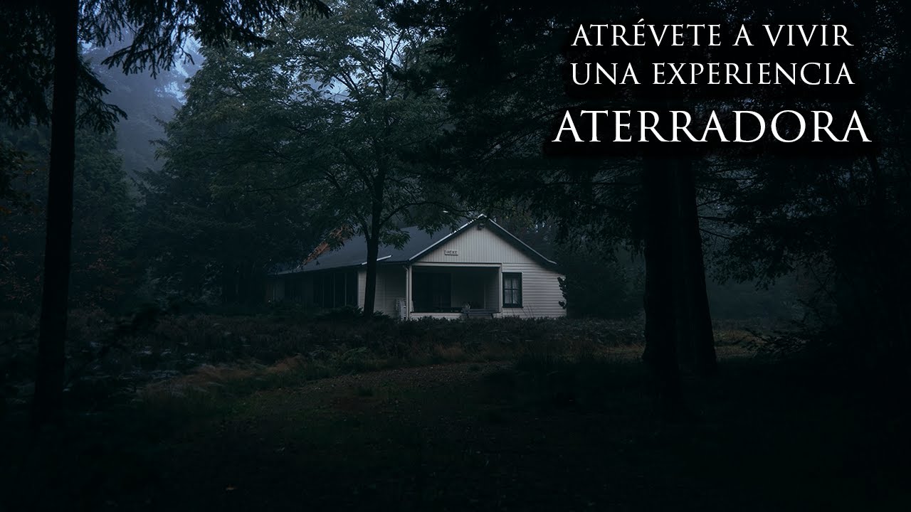 LA CABAÑA EN EL BOSQUE