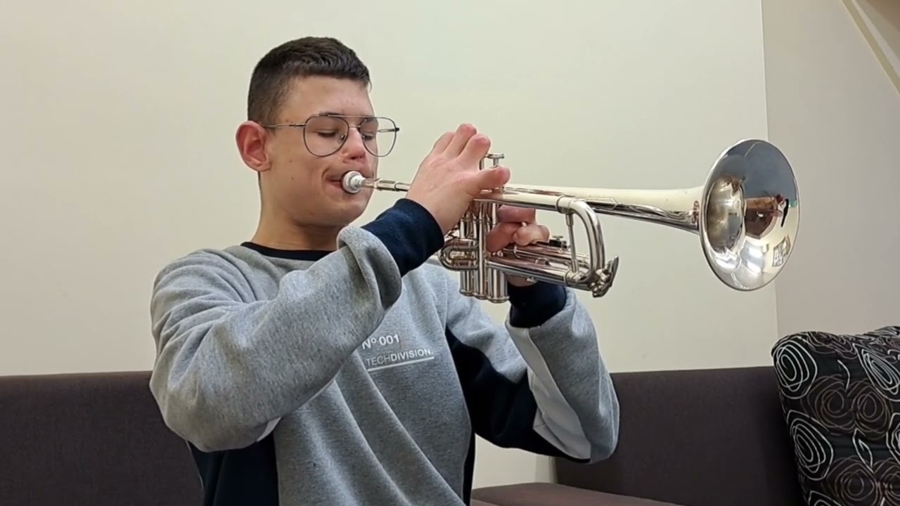 My Way (Frank Sinatra) Trumpet cover