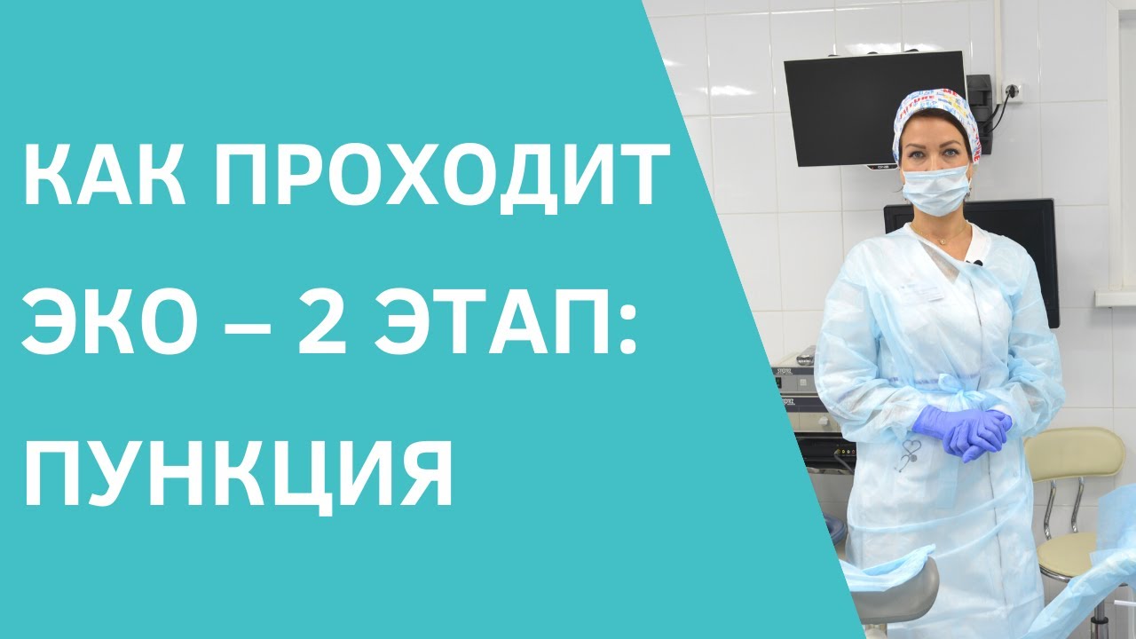 Как проходит ЭКО – 2 этап: пункция