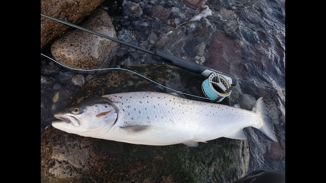 Flot stk  sølv på 64 cm