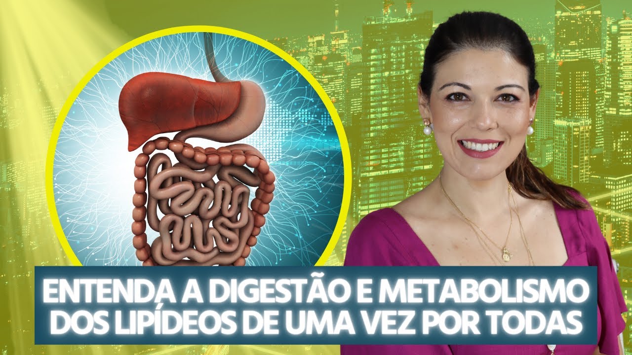 Entenda a Digestão e metabolismo dos lipídeos de uma vez por todas