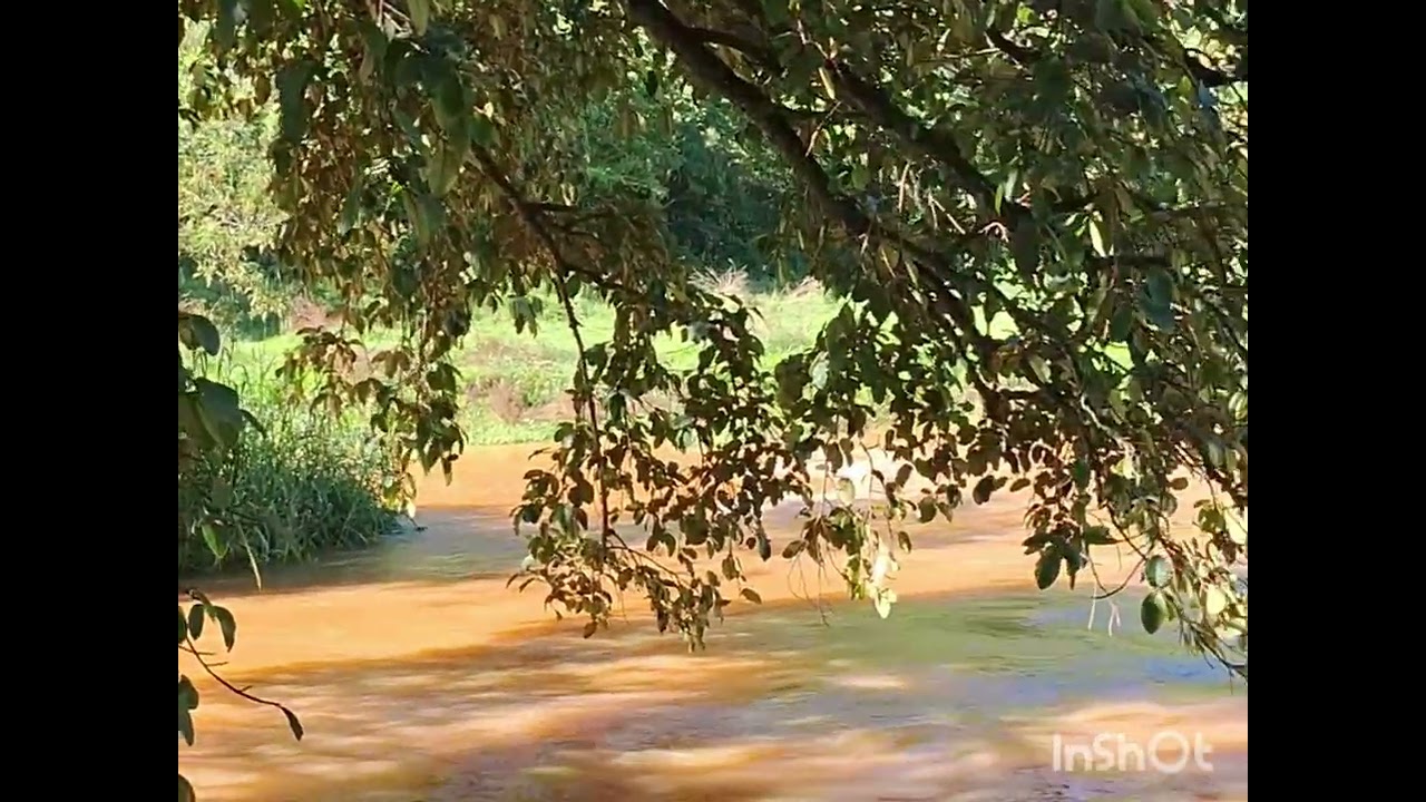 Saudade do Interior 