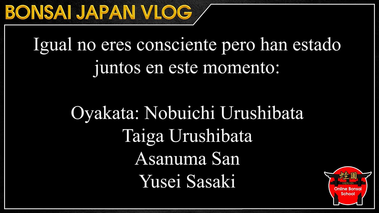 Algunos de los mejores bonsaístas del mundo JUNTOS | Bonsai Japón Vlog #205