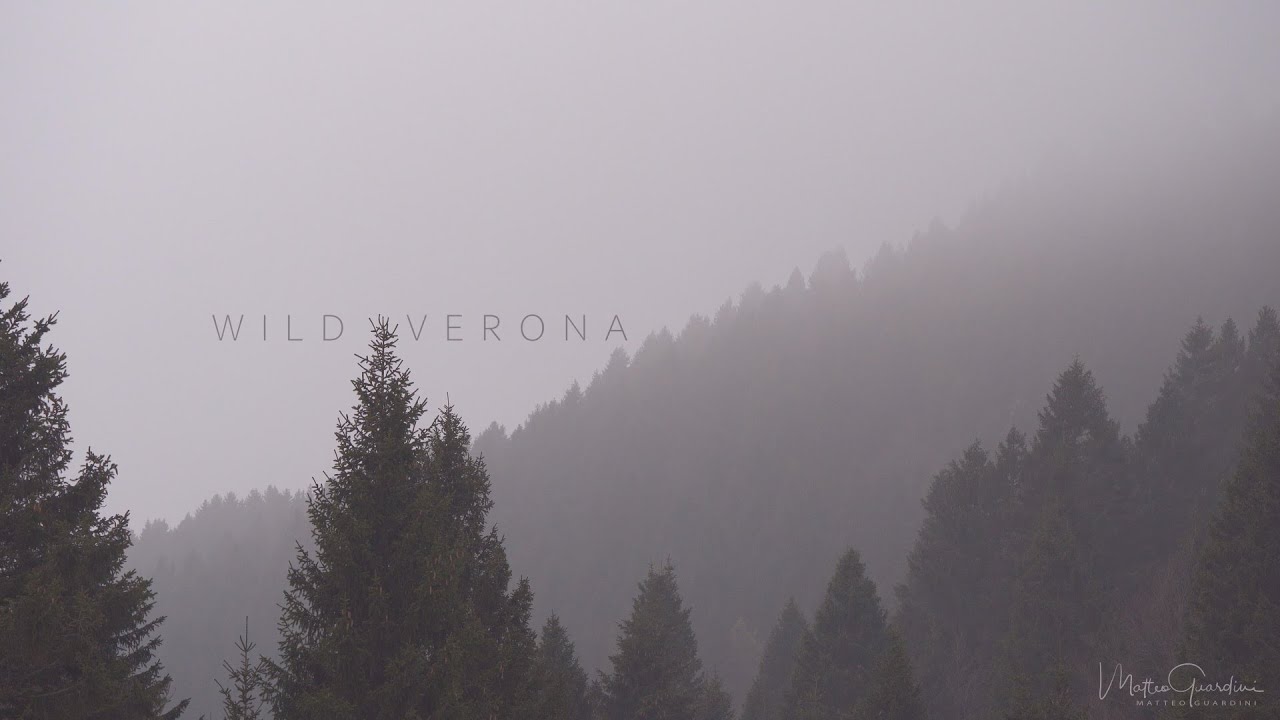 Wild Verona - Lessinia e Monte Baldo