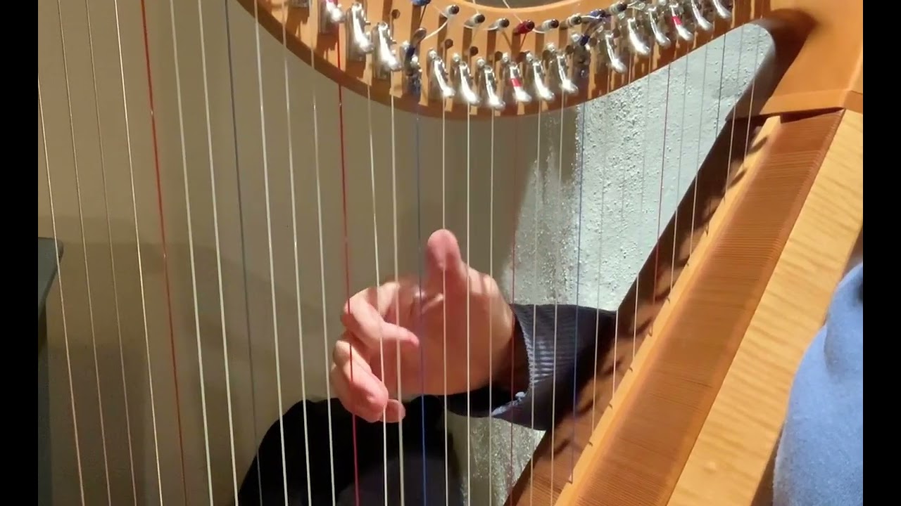 Learn how to play the melody of “Out On The Ocean” (Irish Jig) on Celtic Harp  - lessons with Reidun