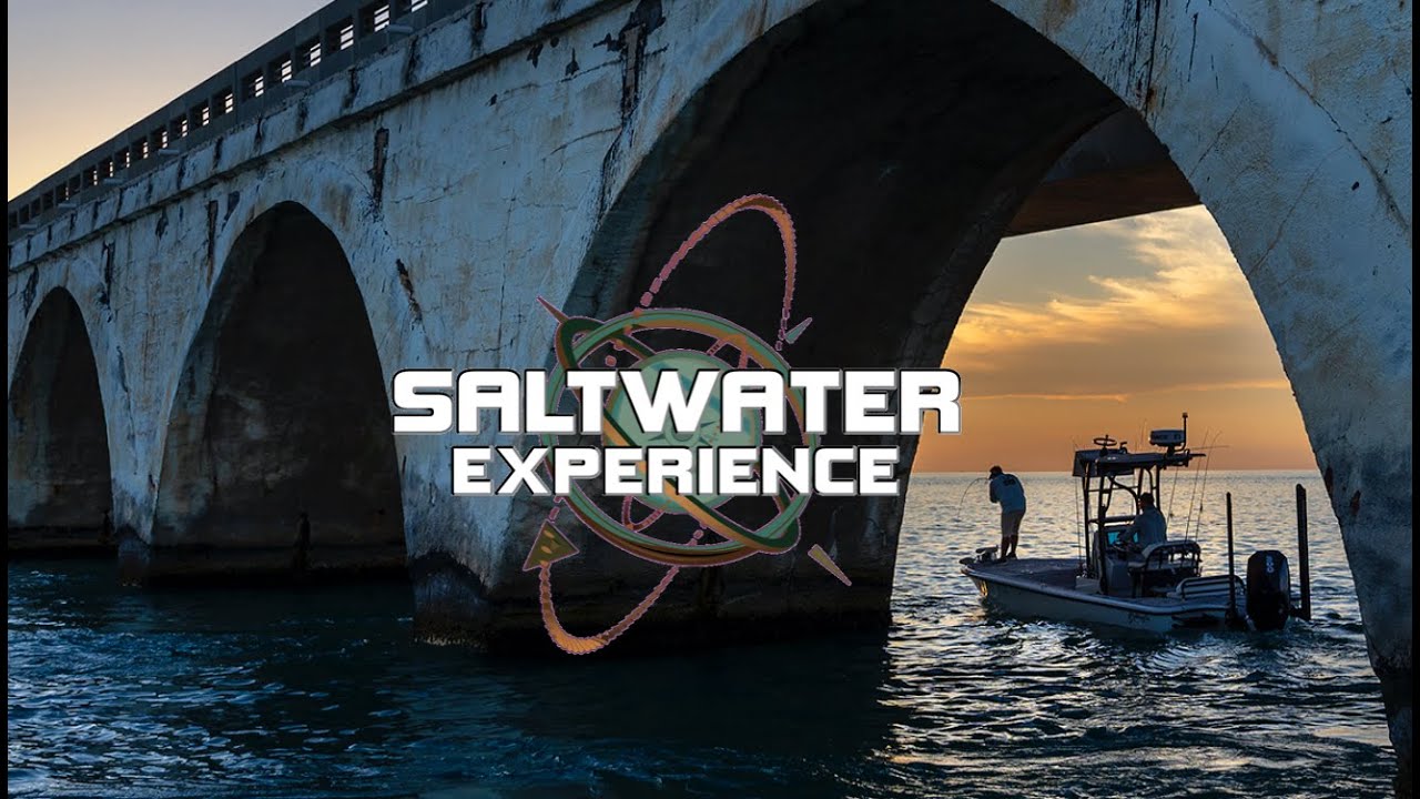 *MULTI SPECIES* DAY FISHING right next to the HIGHWAY in the FLORIDA KEYS | Saltwater Experience