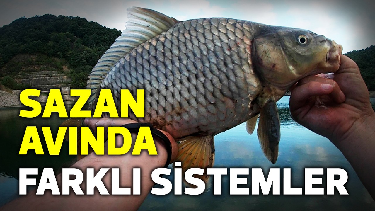 Sazan Balığı Avında Farklı Sistemler | Hastalık Sonrası İlk Sazan Avı