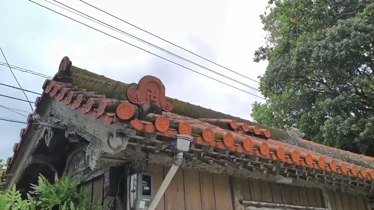 桃林寺🇯🇵日本最南端のお寺で八重山列島最古の仏教寺院は佇まいが物凄かった！