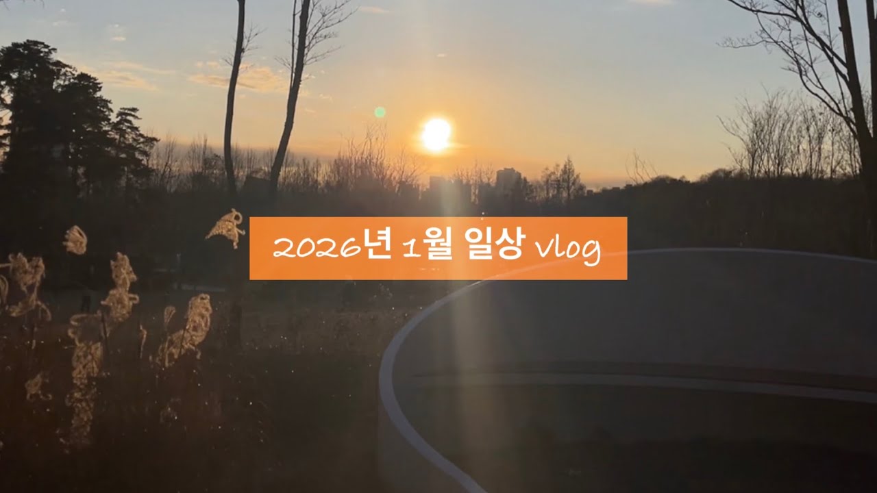 vlog | 2026년 1월 영상일기☀️