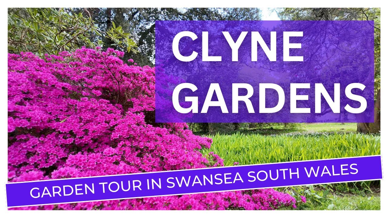 Swansea Clyne Gardens Tour - Gardens in Wales