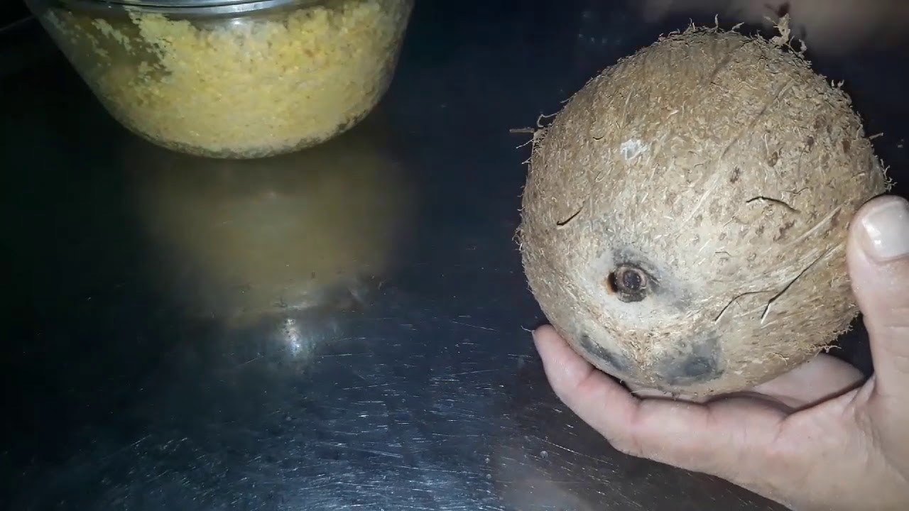 RECEITA:CUSCUZ AO LEITE DE CÔCO
