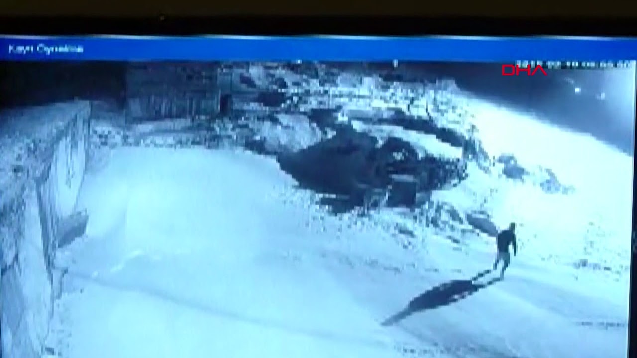 Köye inen kurt sürüsü, köpeğe saldırdı