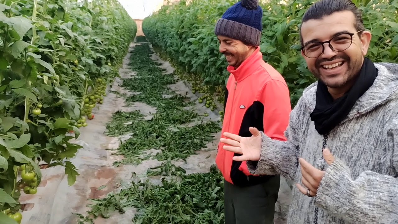 l'agriculture Agadir