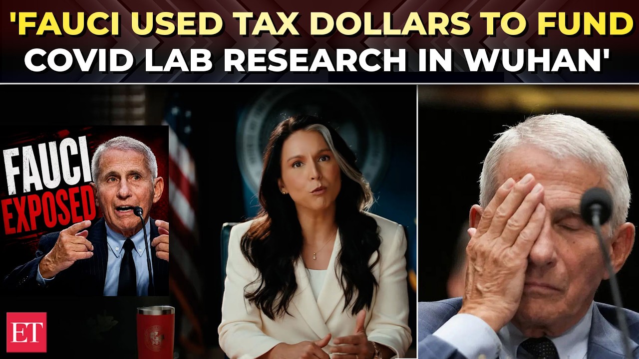 'Zero remorse. Zero accountability': Gabbard accuses Fauci of COVID cover-up, demands answers