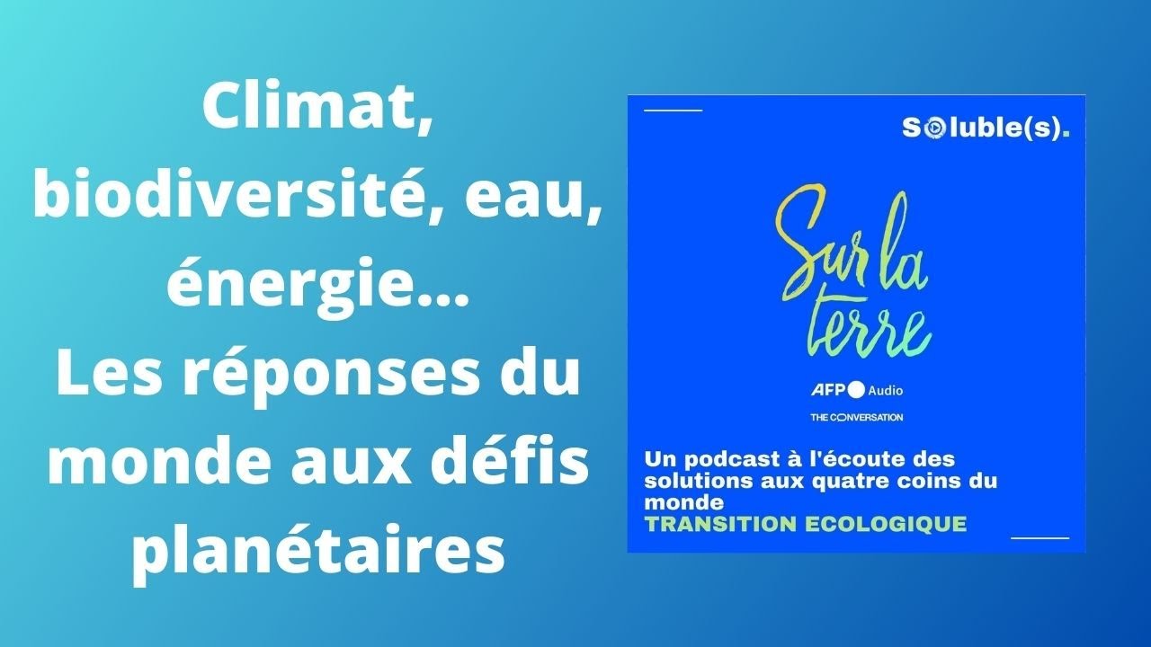 &ldquo;Sur la terre&rdquo;, le podcast qui explore les solutions aux quatre coins du monde - Par l&rsquo;AFP