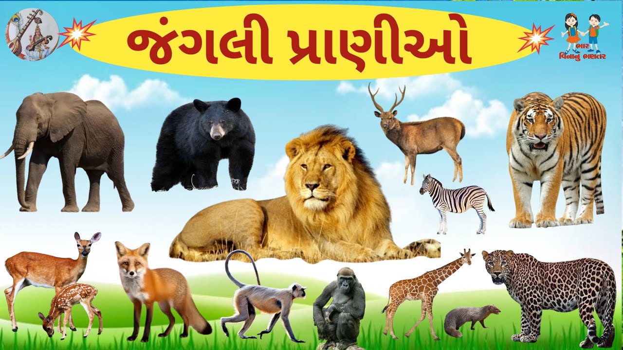 જંગલી પ્રાણીઓ ના નામ અને અવાજ | Wild Animals Name In Gujarati | જંગલી પ્રાણીઓ