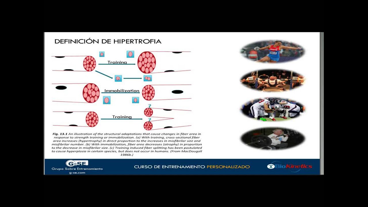 Fisiología Aplicada al Incremento de la Masa Muscular
