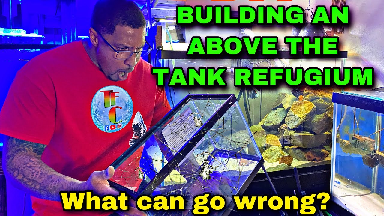 DIY ABOVE THE TANK REFUGIUM BUILD!
