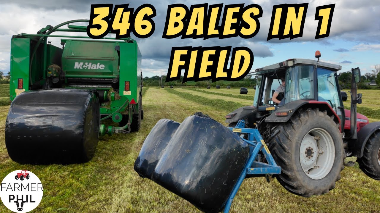 ONE FIELD. 346 BALES. ABSOLUTE MADNESS!