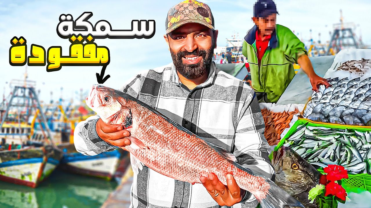 مول الشفنجة يوم كامل في مرسة أول مرة أكلت اغلى الاسماك طبخ سمكة الـ...😲