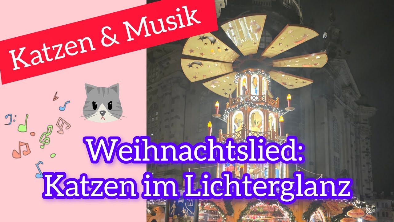 Weihnachtslied: Katzen im Lichterglanz