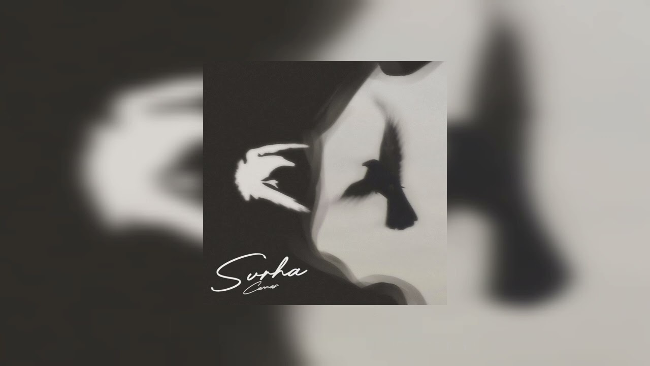 Cernes - Svrha
