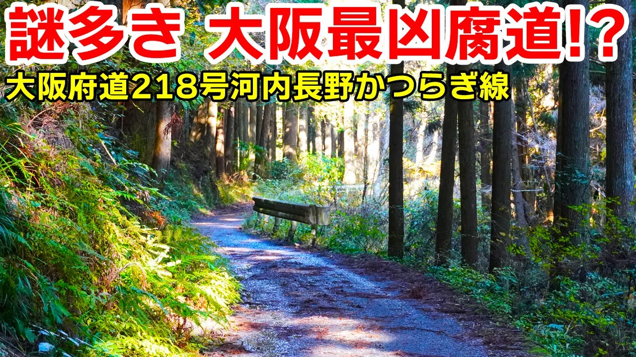大阪最凶の腐道!? 大阪府道218号河内長野かつらぎ線を走破する｜蔵王峠
