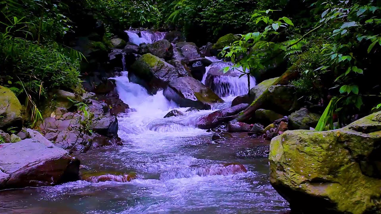 Forest Stream Smooth Water Flow | Mountain Nature Sounds & White Noise for Sleep