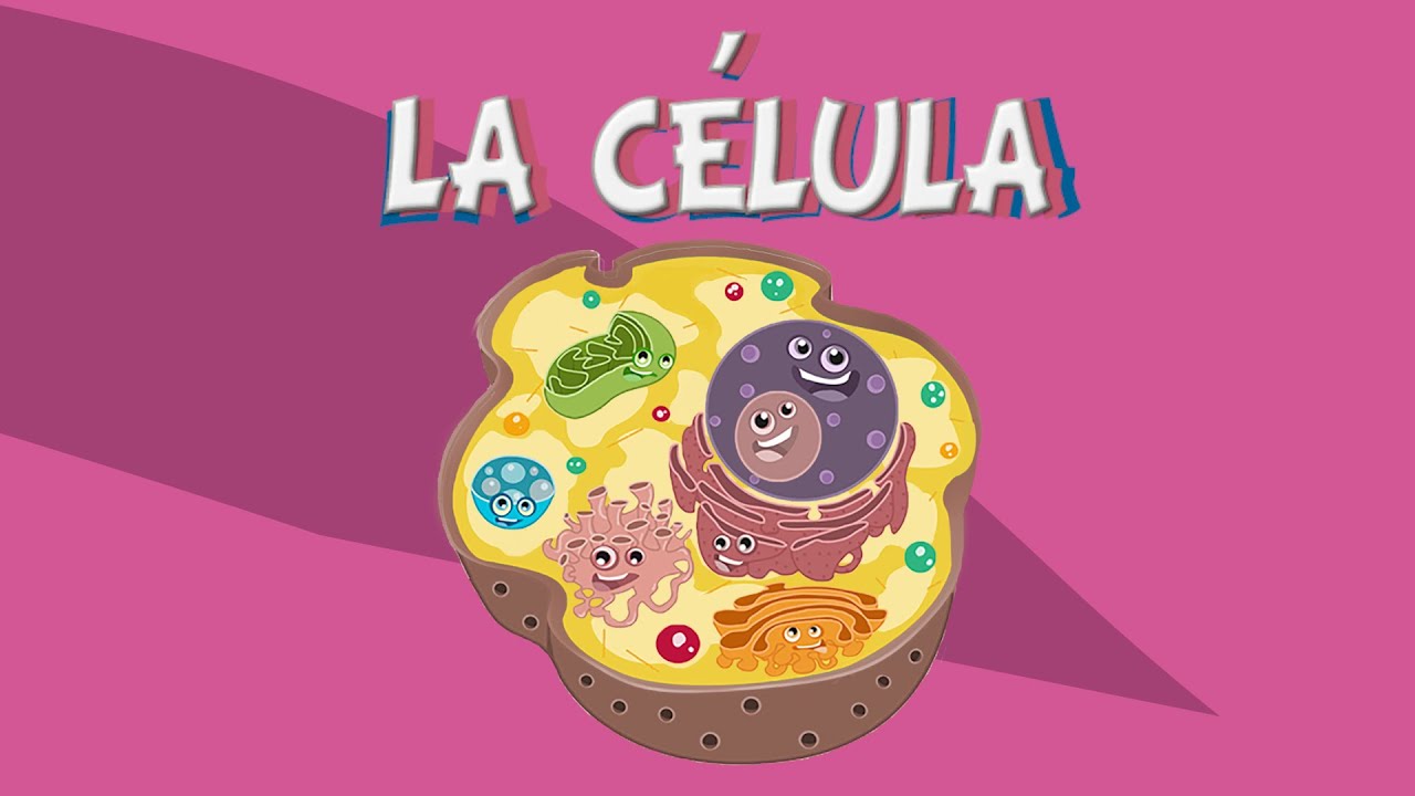 La célula y sus partes. Vídeos educativos para niños.