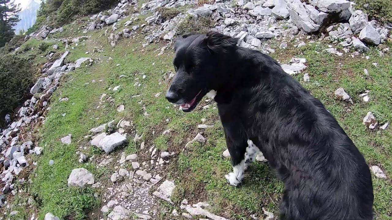 Schweiz - Glarner Alpen mit Rad und Hund