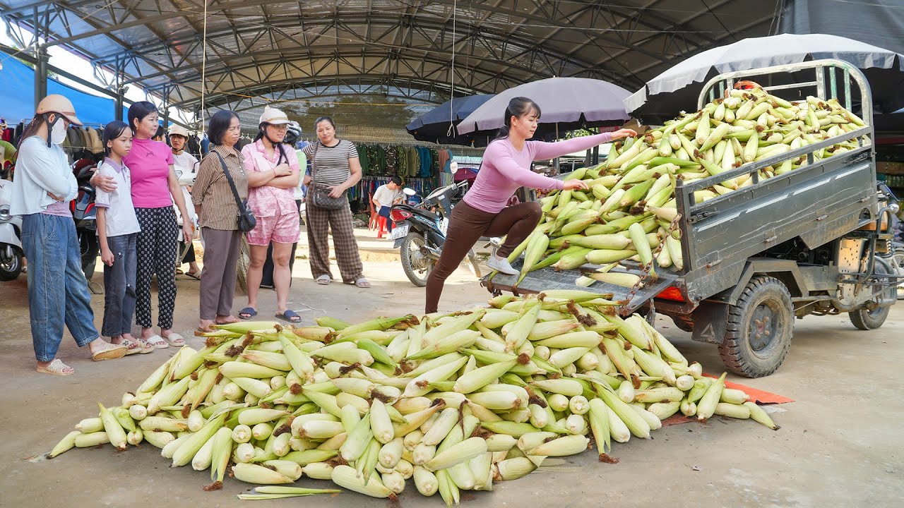 REWIND TIMELAPSE --266 Dayys Harvest Agricultural Products To Sell At The Market