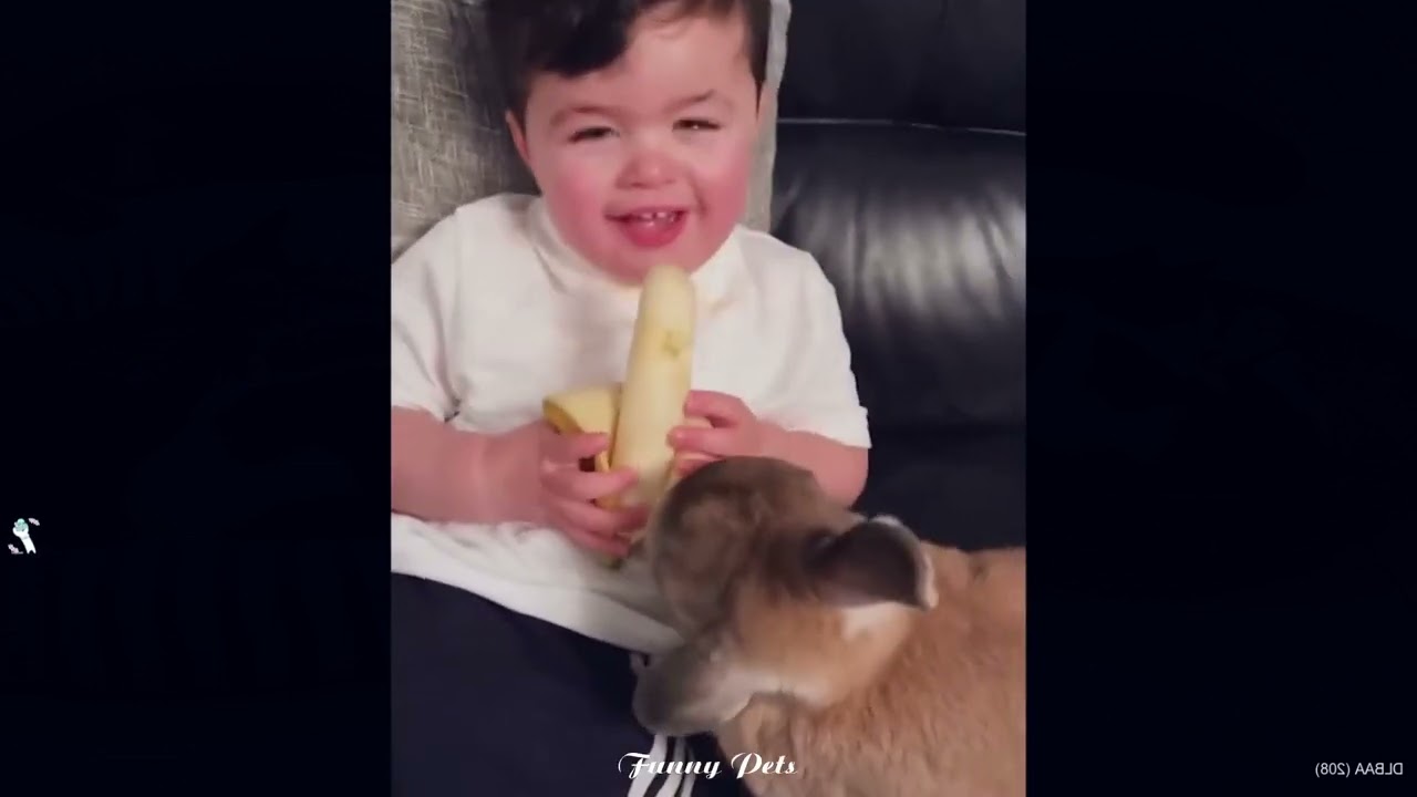 Adorable Baby & Dog Moments You Must See!😍 Animal and Human Videos 2025😂